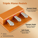 88-Key Keyboard Piano Set with Adjustable Stand by LJGDeals