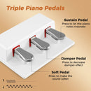 88-Key Keyboard Piano Set with Adjustable Stand by LJGDeals
