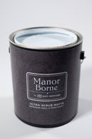 Birdie's Song - Manor Borne Wall Paint