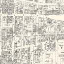 Vintage Map of Springfield, MA Business Section 1946