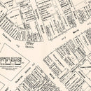 Vintage Map of Taunton, MA Business Section 1946