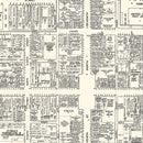 Vintage Map of Allentown, PA Business Section 1950