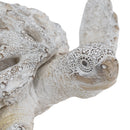 13.2x12.2x3.9' Decorative Polyresin Turtle Statue with White Coral Reef Design by HouseOfZazla