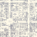 Vintage Map of Lancaster, PA Business Section 1950
