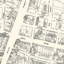 Vintage Map of Albany, NY Business Section 1929