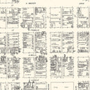 Vintage Map of Chicago, IL Business Section 1929