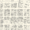 Vintage Map of Des Moines, IA Business Section 1929