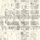 Vintage Map of Flint, MI Business Section 1929
