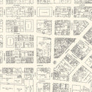 Vintage Map of Grand Rapids, MI Business Section 1929