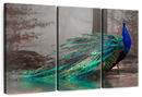 Elegant Blue Peacock Wall Art