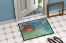 Abstract Sunset on the Water Doormat - 24x36 Decorative Floor Mat – Indoor/Outdoor Rug
