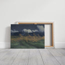Stormlight Over the Field