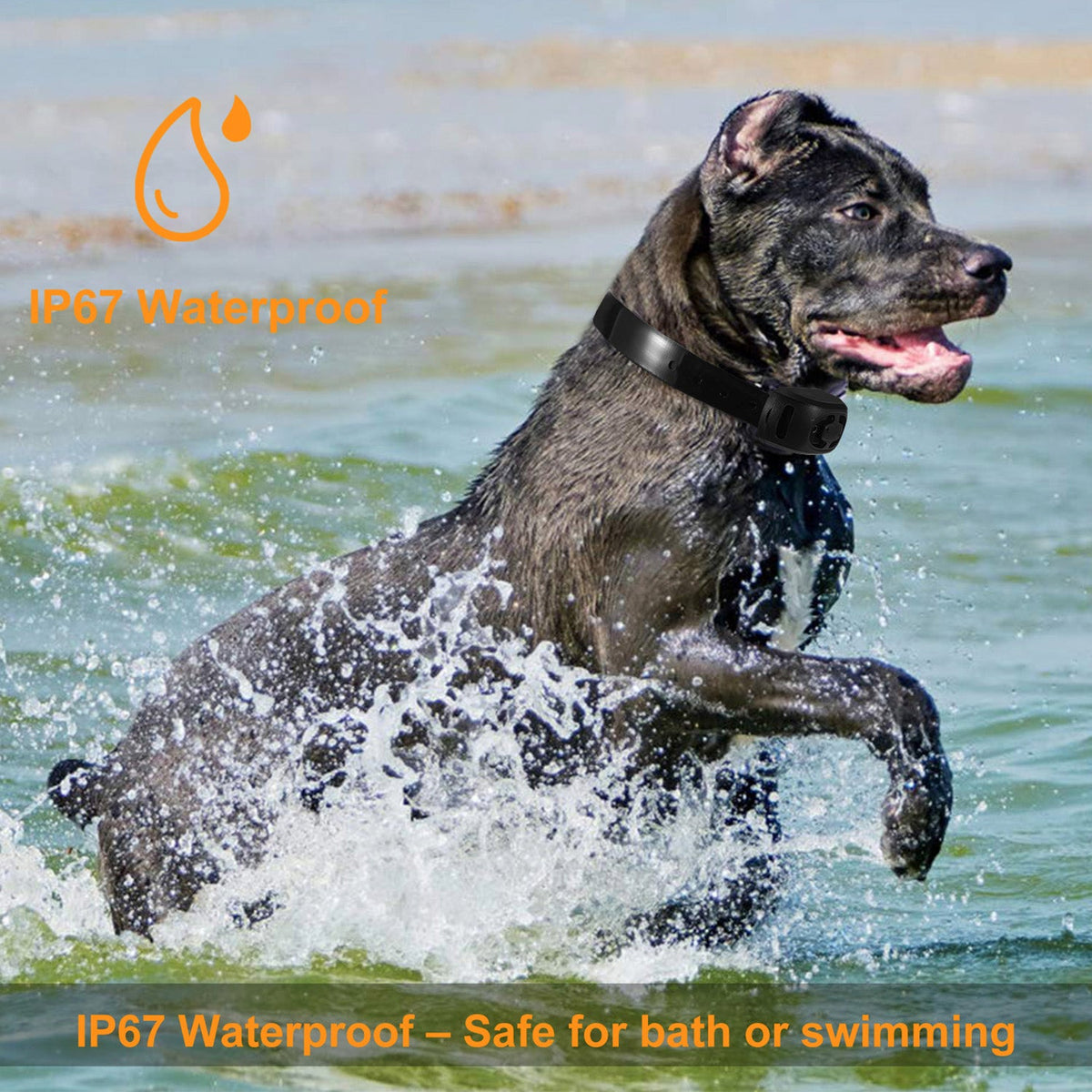 Dog Bark Collar IP67 Waterproof Rechargeable Dog Training Receiver Shock Collar Receiver with Beep Vibration Shock 9 Levels 1640ft Remote Range, photo 6 of 8