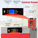 400-Egg Commercial Cabinet Incubator by HouseOfZazla
