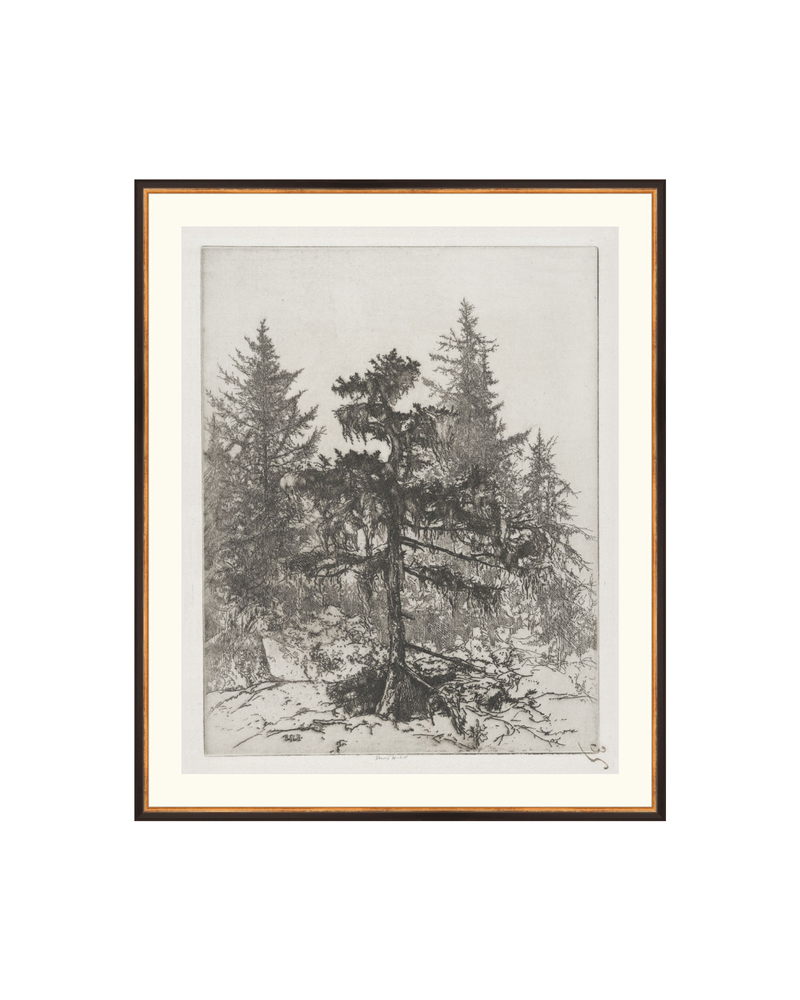 Pine Etching