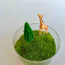 Handmade Terrarium Mini Giraffe Desktop Decoration Micro Landscape Lawn Handmade Preserved Moss Art Handcrafted Glass Container