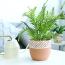 5.5 inch Clay-White Color Modern Pot
