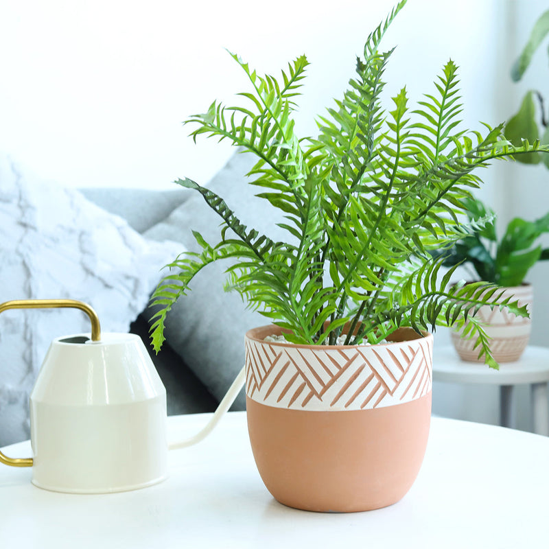 5.5 inch Clay-White Color Modern Pot