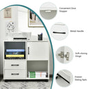 Mobile File Cabinet with Lateral Printer Stand and Storage Shelves by LJGDeals