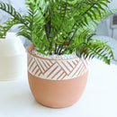 5.5 inch Clay-White Color Modern Pot