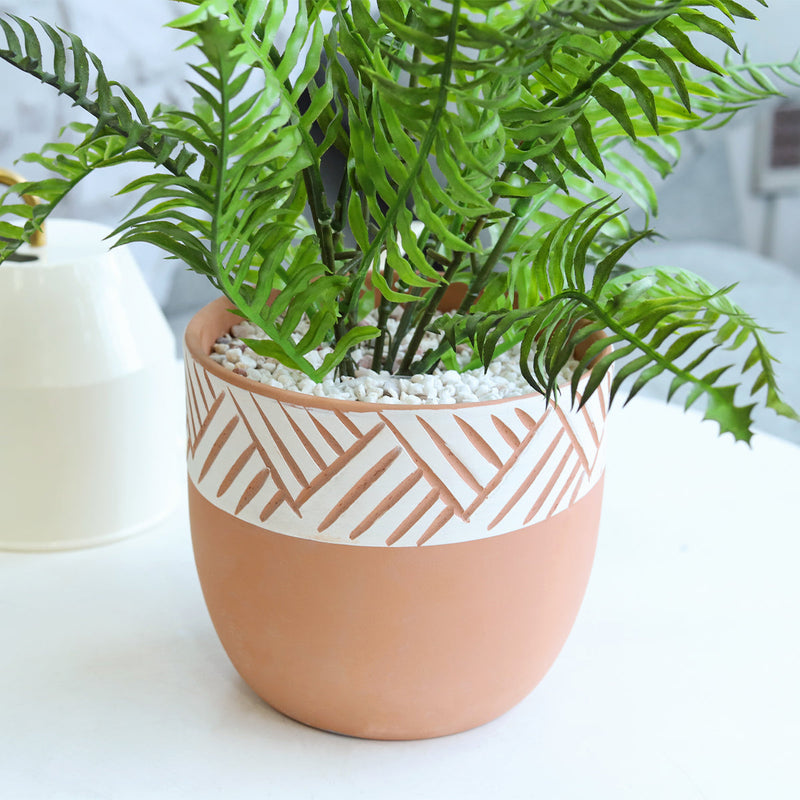 5.5 inch Clay-White Color Modern Pot