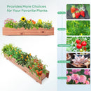 Wooden Decorative Raised Garden Bed for Yard and Window by LJGDeals