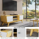Sliding Door TV Stand with Adjustable Shelf for TVs up to 55 Inch by LJGDeals