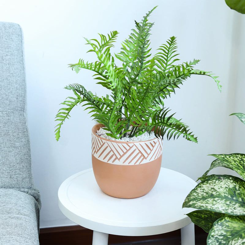 5.5 inch Clay-White Color Modern Pot