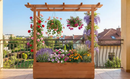Raised Wooden Planter Box with Tall Trellis for Climbing Plants by 2Dropme