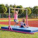 8 FT Double Horizontal Bars with 13-Level Adjustable Heights and 6-Level Adjustable Width-Pink by LJGDeals