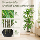 Dracaena Artificial Plant Indoor - 5.5FT