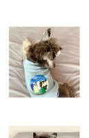Clothes For Small Milk Cats To Keep Warm In Spring And Autumn British Short Pets