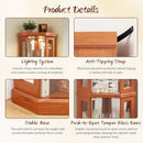 5-Tier Lighted Corner Curio Cabinet with Adjustable Glass Shelves