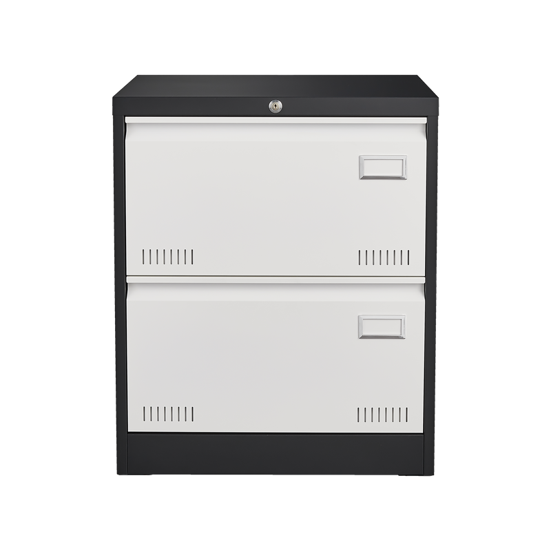 2 Drawer Metal Lateral File Cabinet with Lock,Office Vertical Files Cabinet for Home Office/Legal/Letter/A4,Locking Metal File Cabinet,Assembly Required