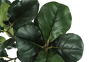 47" Tall, Artificial Plant, Fiddle Tree, Indoor, Fake, Floor, Greenery, Potted, Real Touch, Decorative - Green / Black