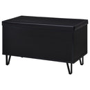 Clackamas - 2 Door Storage Bench With Padded Seat by HouseOfZazla