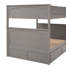 Bunk Bed With Twin Size Trundle, Guardrails by HouseOfZazla
