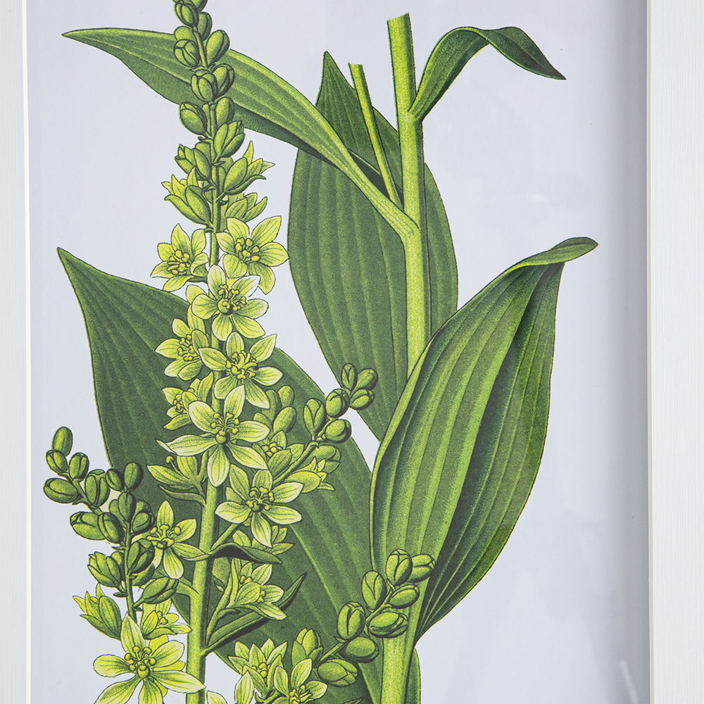 Botanical Flower Wall Art, Home Decor For Living Room Dining Room, Bedroom, Hallway (Set of 4) - White / Blue, photo 11 of 15
