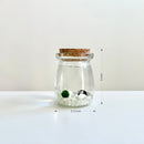 Live Moss Balls Mini Aquarium Jar