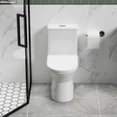 1 Piece Toilet With Dual Flush & Rimless Bowl - Glossy White by HouseOfZazla