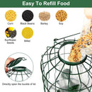Metal Bird Feeder: Squirrel-Proof Seed Feeder with 4 Ports by LJGDeals