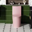 1 Piece Toilet With Tornado Flush, Dual Flush, And ADA Height Comfort Chair by HouseOfZazla