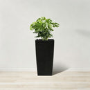 Indoor Outdoor Planter With Automatic Watering System by HouseOfZazla