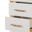 Obsession - 2 Drawer LED Nightstand - White by HouseOfZazla