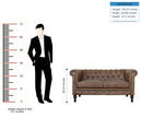 Buffalo - Chesterfield Sofa - Brown by HouseOfZazla