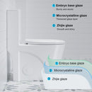 Glossy Tornado Flush 1 Piece Toilet With Dual Flush, Soft Close Seat - Gloss White by HouseOfZazla