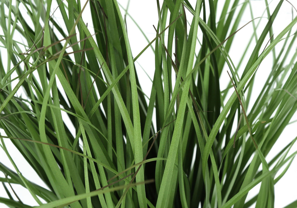 23" Tall Artificial Grass Plant – Indoor Faux Table Decor, photo 2 of 4