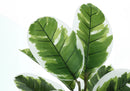 27" Tall Real Touch Artificial Rubber Plant