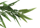 50" Tall Artificial Bamboo Tree, Potted Decorative Plant
