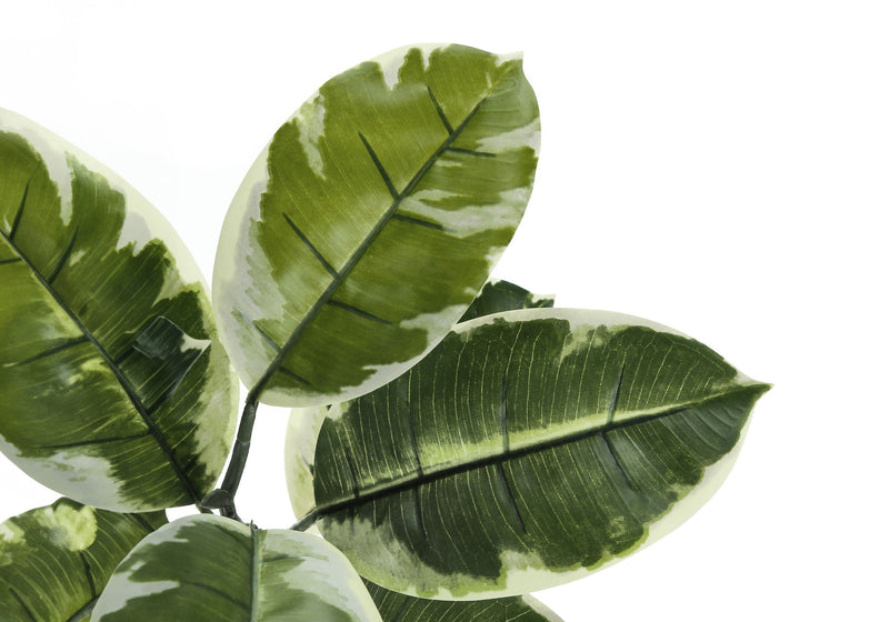 52" Tall Artificial Rubber Tree Indoor Plant, photo 3 of 4